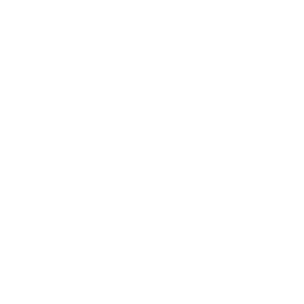 Parceiro 2