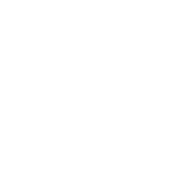 Parceiro 3