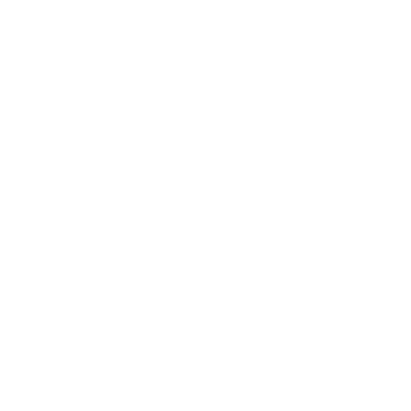 Parceiro 4