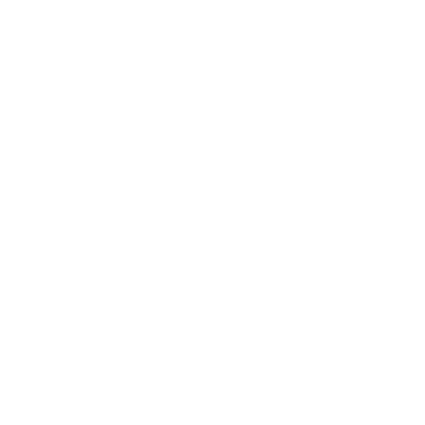 Parceiro 5