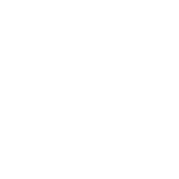 Parceiro 8