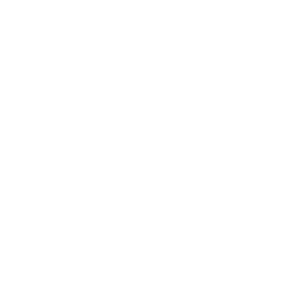 Parceiro 9