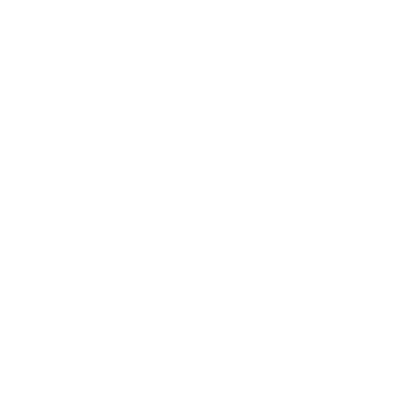 Parceiro 10