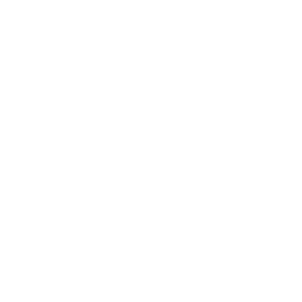 Parceiro 13